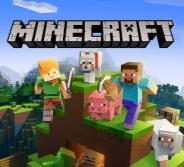 Minecraft java