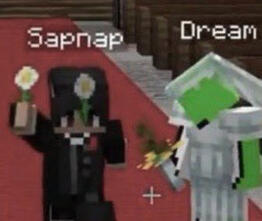 Sapnap and Dream don't have a duo name but my beloveds